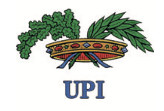 up-and-play-partner00001